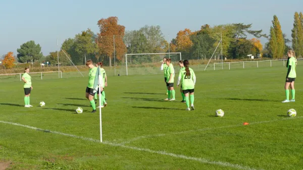 20.10.2024 SV Grün-Weiß Wörlitz vs. Bad Schmiedeberg