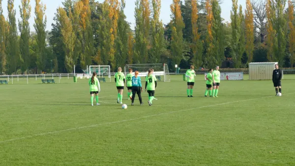 20.10.2024 SV Grün-Weiß Wörlitz vs. Bad Schmiedeberg