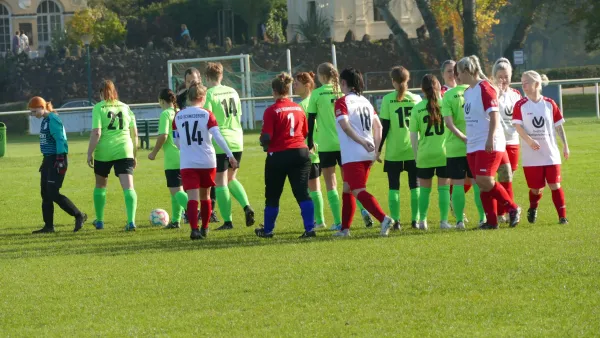 20.10.2024 SV Grün-Weiß Wörlitz vs. Bad Schmiedeberg