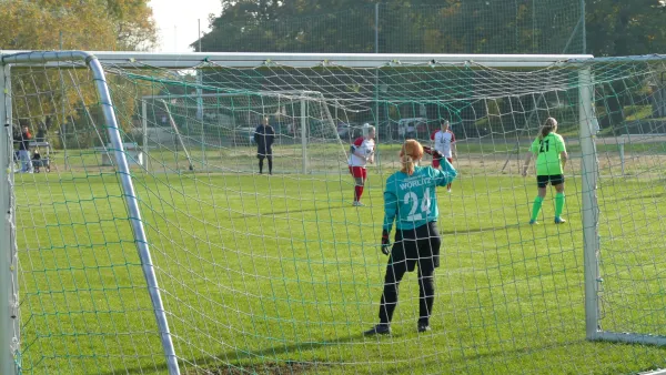 20.10.2024 SV Grün-Weiß Wörlitz vs. Bad Schmiedeberg