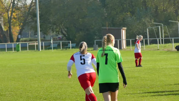 20.10.2024 SV Grün-Weiß Wörlitz vs. Bad Schmiedeberg