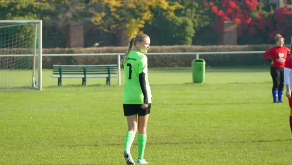 20.10.2024 SV Grün-Weiß Wörlitz vs. Bad Schmiedeberg