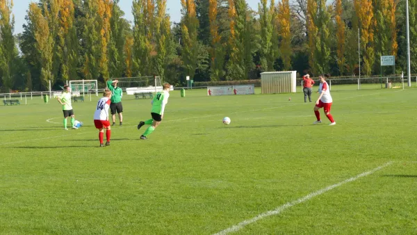 20.10.2024 SV Grün-Weiß Wörlitz vs. Bad Schmiedeberg