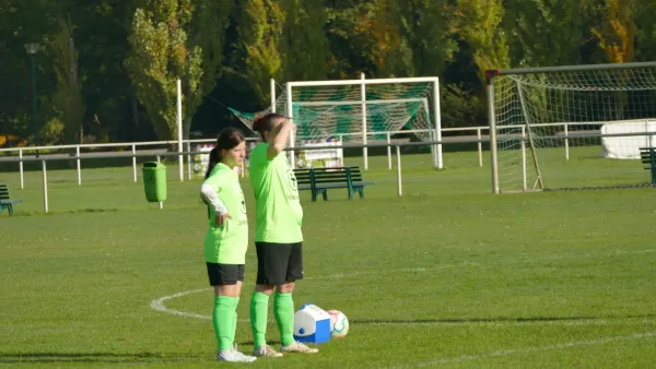 20.10.2024 SV Grün-Weiß Wörlitz vs. Bad Schmiedeberg