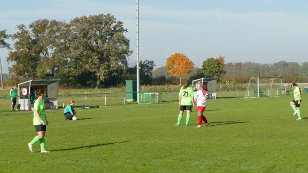 20.10.2024 SV Grün-Weiß Wörlitz vs. Bad Schmiedeberg