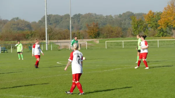 20.10.2024 SV Grün-Weiß Wörlitz vs. Bad Schmiedeberg