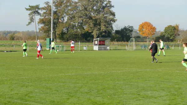 20.10.2024 SV Grün-Weiß Wörlitz vs. Bad Schmiedeberg