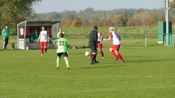 20.10.2024 SV Grün-Weiß Wörlitz vs. Bad Schmiedeberg