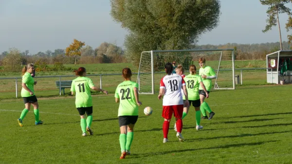 20.10.2024 SV Grün-Weiß Wörlitz vs. Bad Schmiedeberg