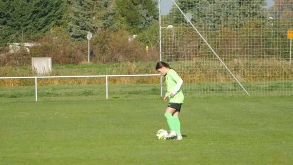 20.10.2024 SV Grün-Weiß Wörlitz vs. Bad Schmiedeberg