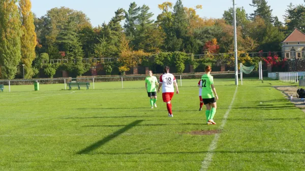 20.10.2024 SV Grün-Weiß Wörlitz vs. Bad Schmiedeberg