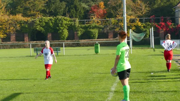 20.10.2024 SV Grün-Weiß Wörlitz vs. Bad Schmiedeberg