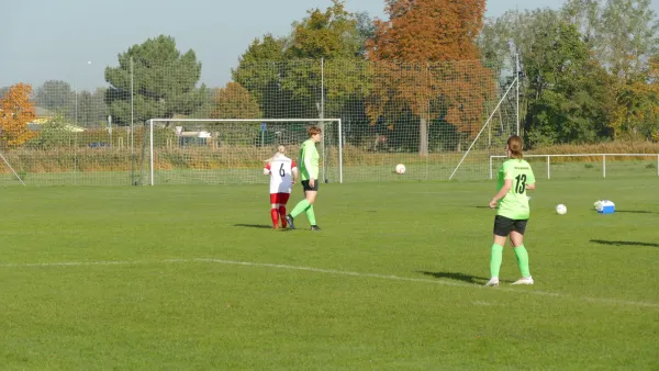 20.10.2024 SV Grün-Weiß Wörlitz vs. Bad Schmiedeberg