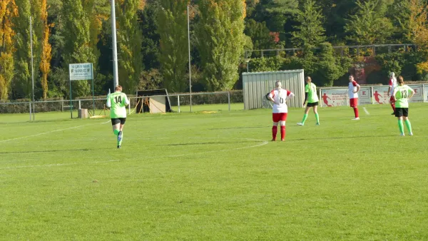 20.10.2024 SV Grün-Weiß Wörlitz vs. Bad Schmiedeberg