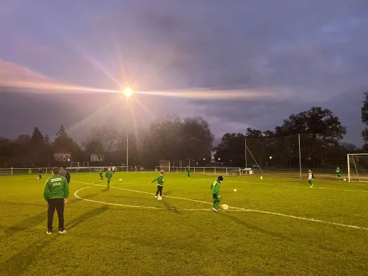 15.11.2024 JSG Heidekicker II vs. VfB Gräfenhainichen