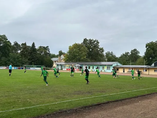 31.08.2024 JSG Heidekicker vs. Grün-Weiß Piesteritz II