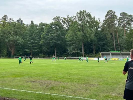 31.08.2024 JSG Heidekicker vs. Grün-Weiß Piesteritz II