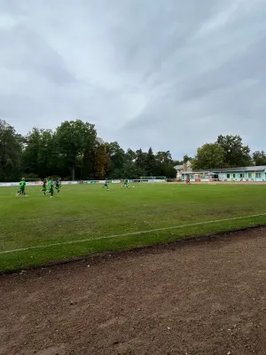 31.08.2024 JSG Heidekicker vs. Grün-Weiß Piesteritz II