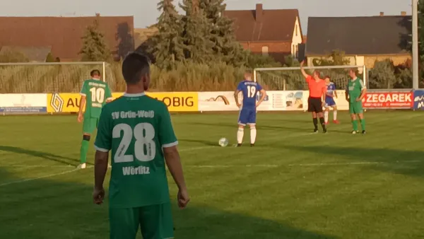 06.09.2024 SG 1919 Trebitz vs. SV Grün-Weiß Wörlitz