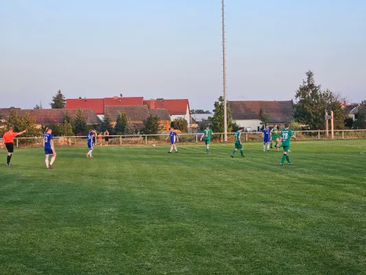 06.09.2024 SG 1919 Trebitz vs. SV Grün-Weiß Wörlitz