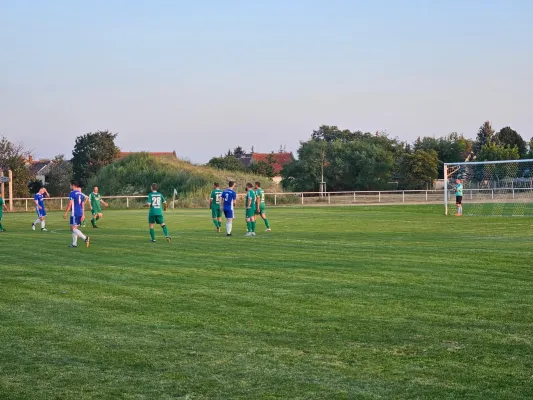 06.09.2024 SG 1919 Trebitz vs. SV Grün-Weiß Wörlitz