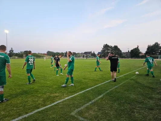 06.09.2024 SG 1919 Trebitz vs. SV Grün-Weiß Wörlitz