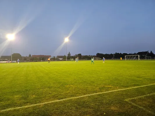 06.09.2024 SG 1919 Trebitz vs. SV Grün-Weiß Wörlitz