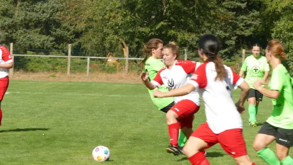 08.09.2024 Bad Schmiedeberg vs. SV Grün-Weiß Wörlitz