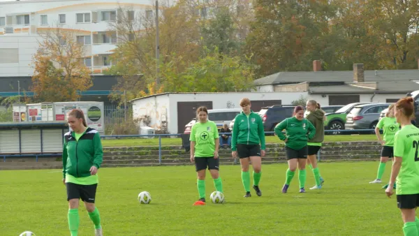 27.10.2024 SG Abus Dessau vs. SV Grün-Weiß Wörlitz