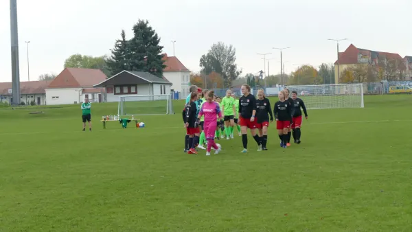 27.10.2024 SG Abus Dessau vs. SV Grün-Weiß Wörlitz