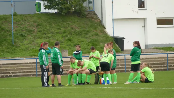 27.10.2024 SG Abus Dessau vs. SV Grün-Weiß Wörlitz