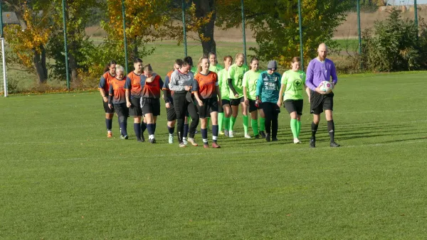 03.11.2024 TuS Bebitz 1927 e.V. vs. SV Grün-Weiß Wörlitz