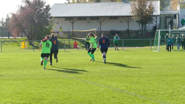 03.11.2024 TuS Bebitz 1927 e.V. vs. SV Grün-Weiß Wörlitz