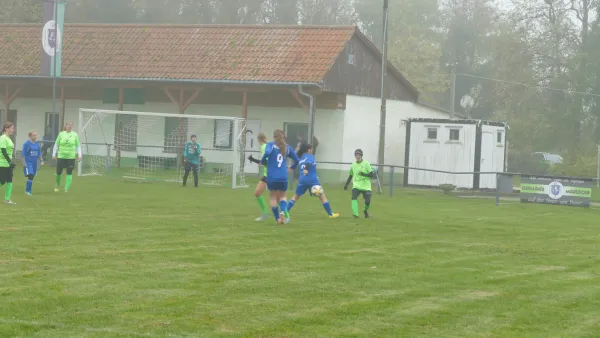 10.11.2024 SV Germania Maasdorf vs. SV Grün-Weiß Wörlitz