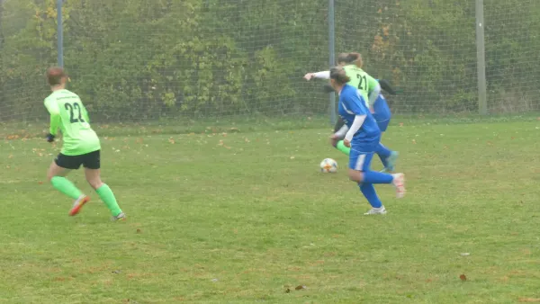 10.11.2024 SV Germania Maasdorf vs. SV Grün-Weiß Wörlitz