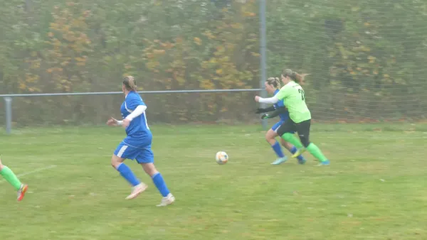 10.11.2024 SV Germania Maasdorf vs. SV Grün-Weiß Wörlitz