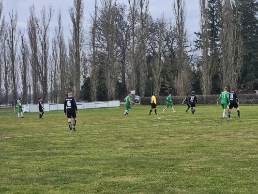 01.02.2025 SV Grün-Weiß Wörlitz vs. SV Chemie Rodleben