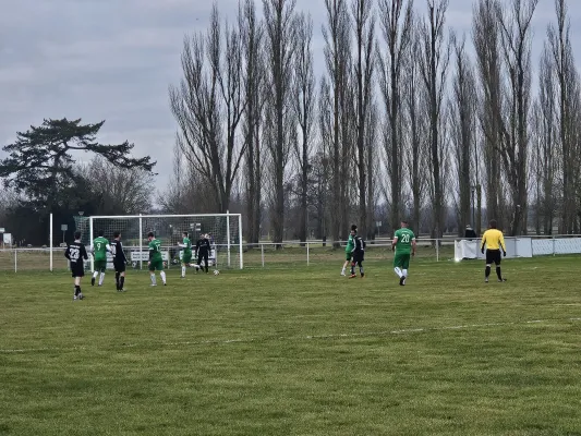 01.02.2025 SV Grün-Weiß Wörlitz vs. SV Chemie Rodleben