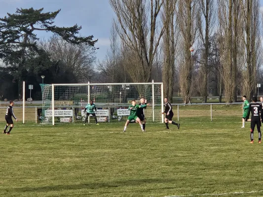 01.02.2025 SV Grün-Weiß Wörlitz vs. SV Chemie Rodleben